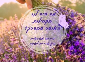 צילום מסך 2025-04-24 102010